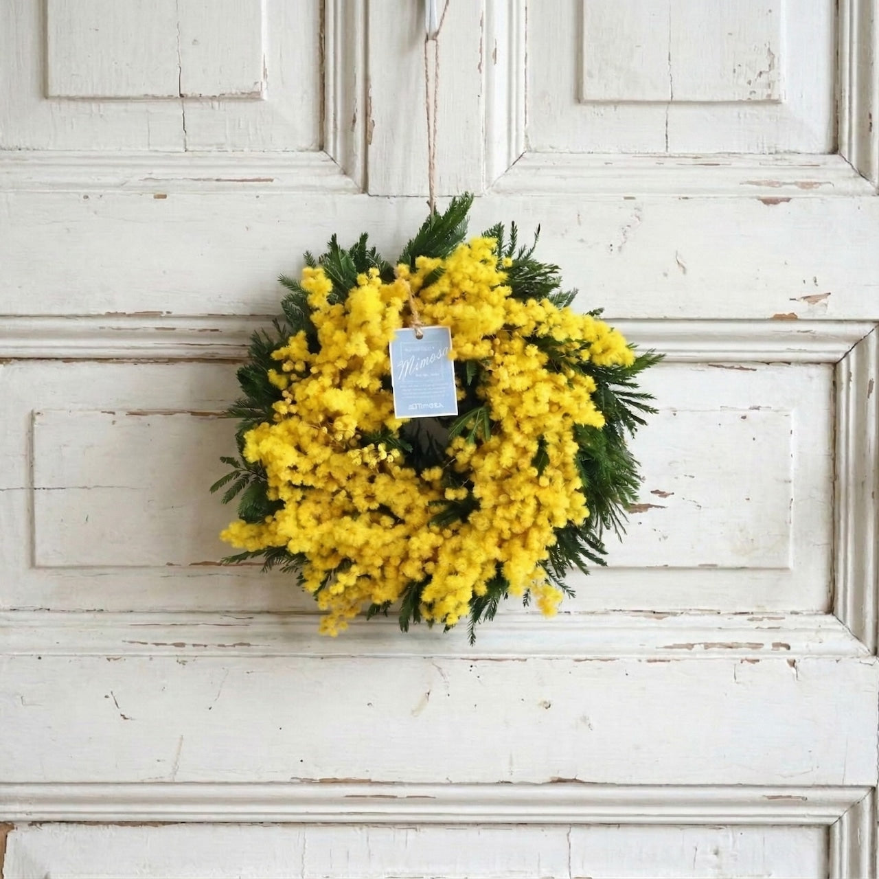 ミモザ「『花言葉は感謝』フランスミモザ・ミランドールの春を呼ぶ〜ドライになるまで楽しむ〜フレッシュリースS」ミモザの日　ミランドール　女性に贈る　国際女性デー　身近な女性に感謝をする日　ミモザの日を過ぎてもOK